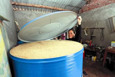 春播一粒粟 秋收入粮仓 粮食丰收的诗意与科技图景