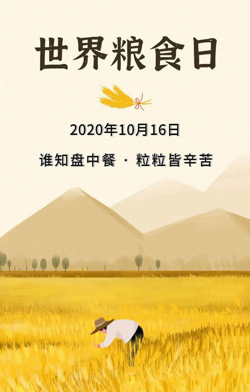 世界粮食日 超越“光盘行动”，守护每粒粮食的更多可能